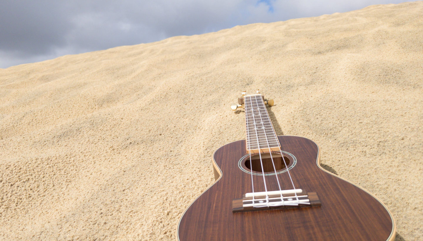 Music Desert Music Desert