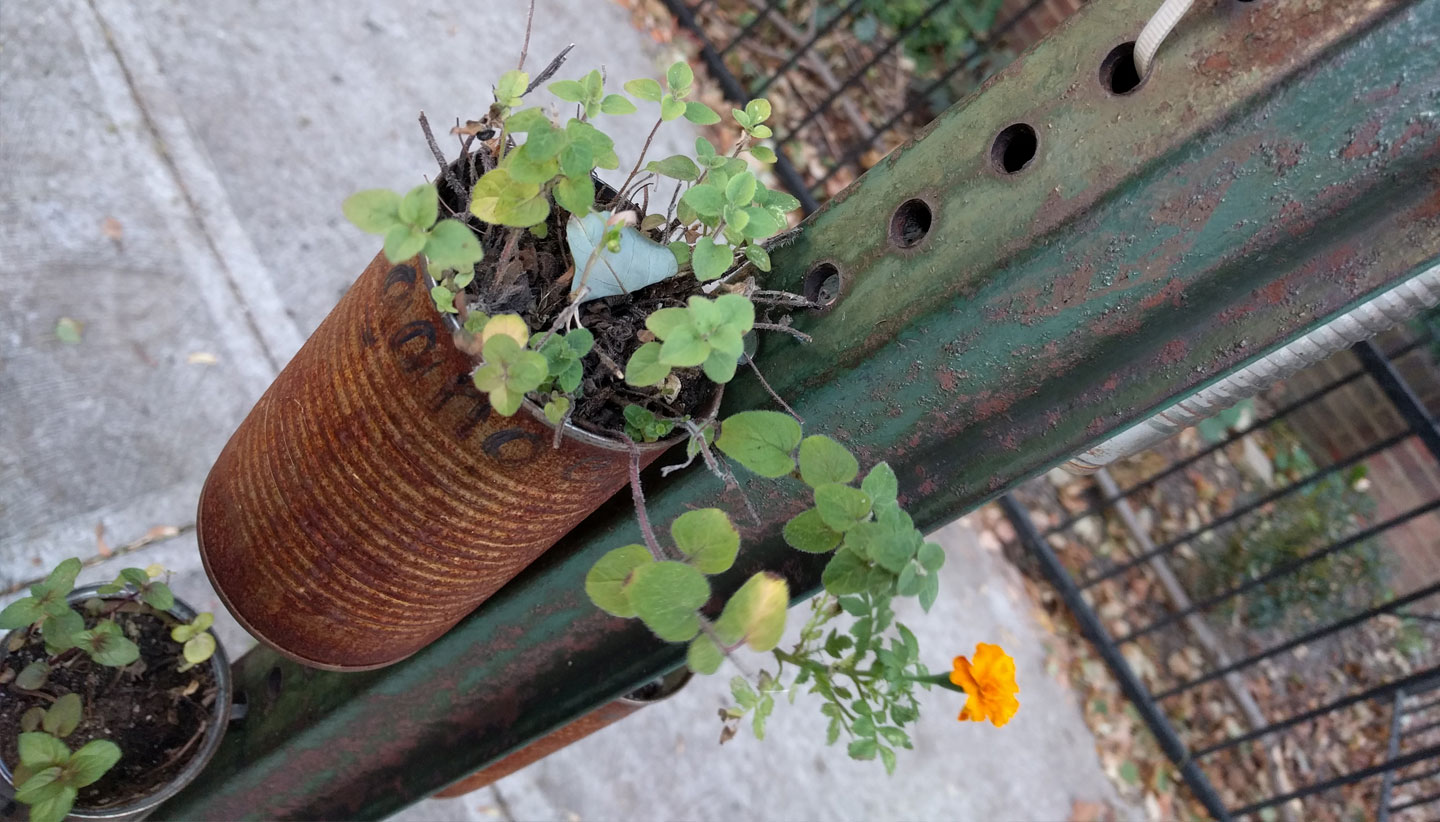 Rust Flowers